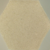 WL-02-SS