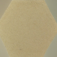 WL-06-SS