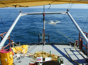 Ship towing seismic fish
