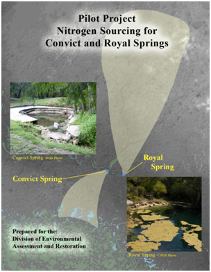 Springshed Poster