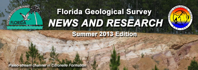 Newsletter Title Bar