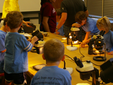 Students examine rocks and well cuttings under microscopes during FGS open house.