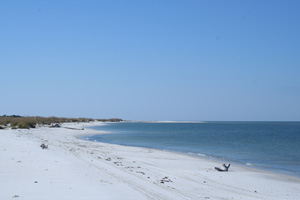 Photo of a Florida beach