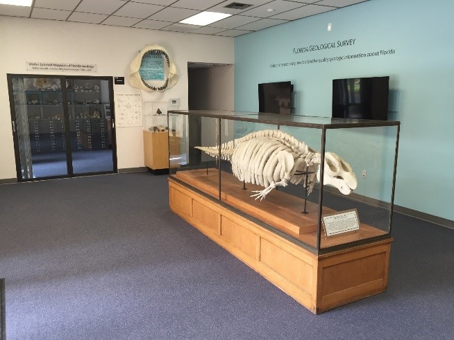 View of the FGS museum lobby.