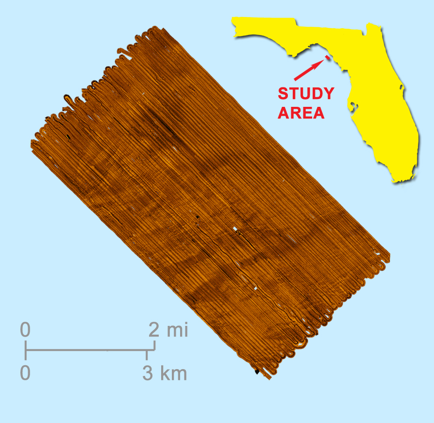 Side-scan sonar mosaic created by digitally stitching together sonar transects covering the study area. Transects are conducted by cruising
			  back-and-forth over the study area in a manner similar to mowing a lawn. Paleo drainage channels are visible in the composite image.